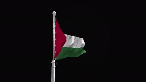 Realistic Palestine Flag Waving Loop
