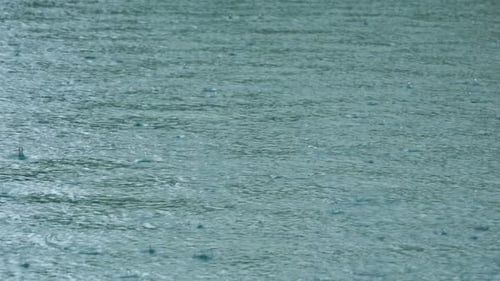 Raindrops on the Surface of the Water Abstract