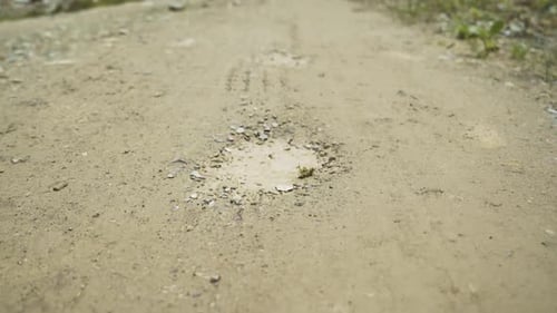 Puddles and Tire Tracks on a Muddy Road 4K