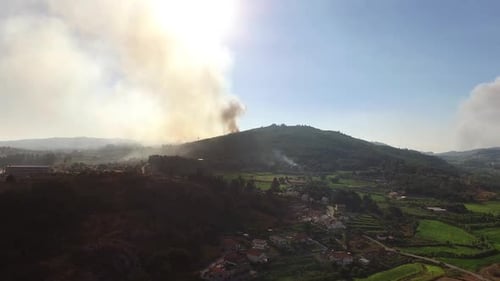 Forest Fire in the Mountains