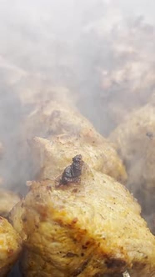 Roasting Pork on the Grill Smoked Kebabs on an Open Fire Fried Meat Vertical Video