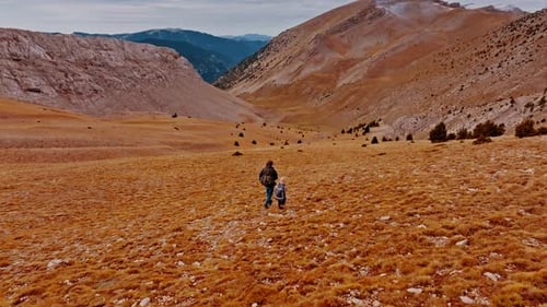 Hiking Through the Golden Hills of the Pyrenees in Spain