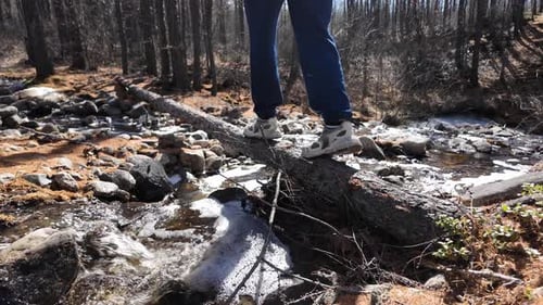 Personne marchant sur une bûche tombée dans les bois