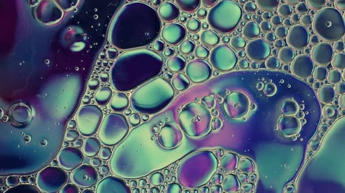 Colorful Oil Droplets in Liquid Abstract Close-Up