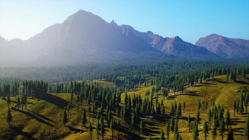 Mountains Covered with Woods in the Early Morning Mist