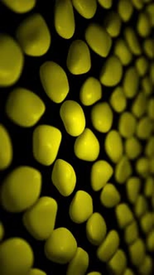 Abstract Glossy Yellow Organic Shapes Background Loop