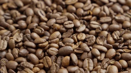 Close Up of Freshly Roasted Coffee Beans