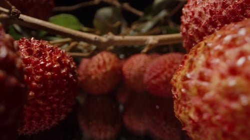 Dolly Slider Shot of Bright Red Lychees on Reflective Surface with Green Leaves and Woody Stems in