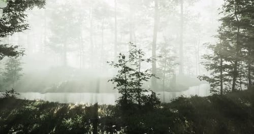 Mysterious Forest Landscape with Mist Over a Calm River at Dawn