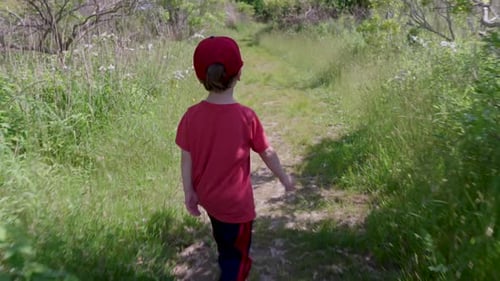 Back shot of boy walking in the forest.