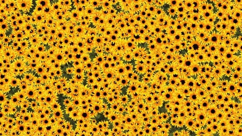 Im Cartoon-Stil angebaute Sonnenblume