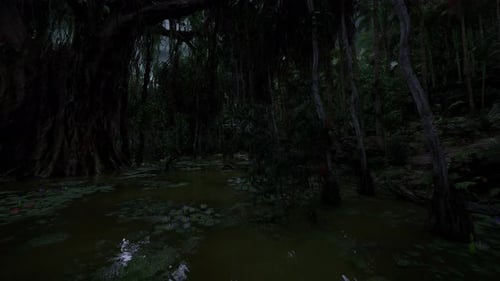 Foreboding Swamp Pathway Surrounded By Cypress and Endless Darkness