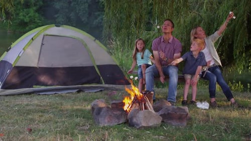 Family Toasting Marshmallows on Camp Fire Adult