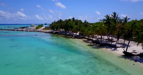 Coconut trees lining crystal clear calm tropical seas in Indian ocean 4k