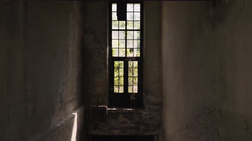 Imágenes cinematográficas de un Zumbido aéreo que se desliza por el interior de una fábrica abandonada. Lento y atmosférico