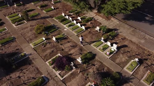 Woman in sorrow, walking through the cemetery and remembering her loved ones. Aerial.