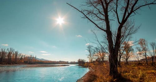 Mountain River Timelapse at the Summer or Autumn Day Time Wild Nature Clear Blue Water and Dry Trees