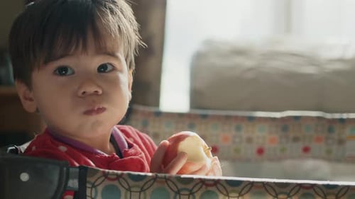 Asian Kid of Two Years Eats an Apple in His Arena