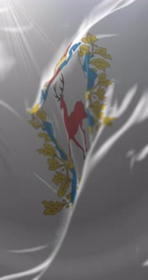 Waving Flag with Heraldic Emblem Vertical Motion Background