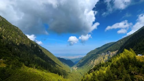 Amazing green mountains covered with pine tree woods. Cumulus clouds hang in the blue sky above.