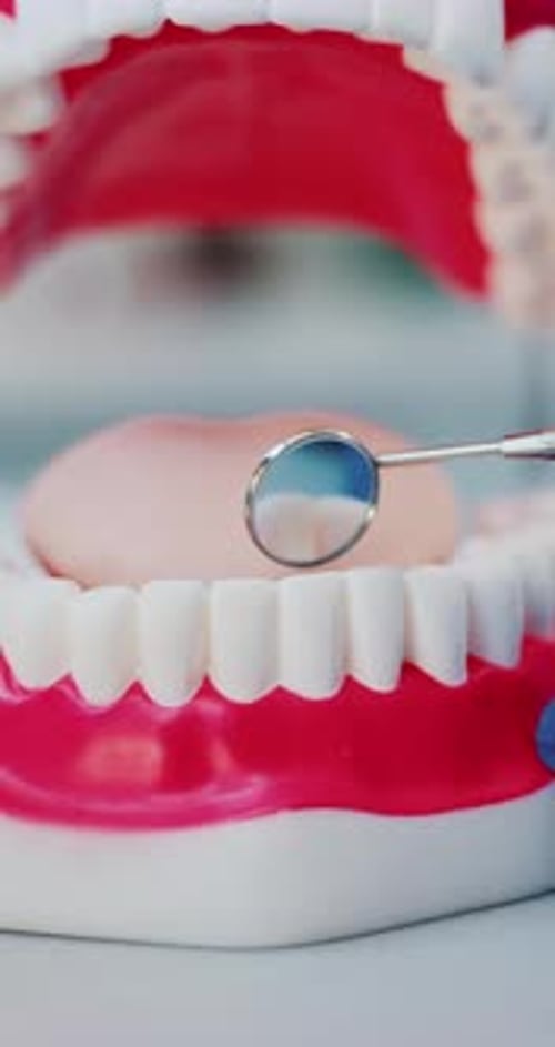 Dentist Examines Teeth with Dental Mirror