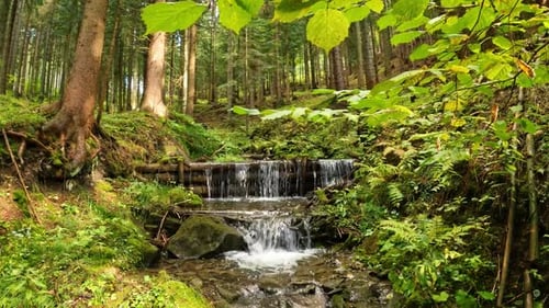Mountain Stream Cascade in Green Forest Peaceful Nature Background