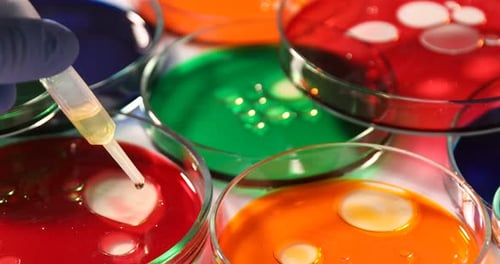 Cientista pingando reagente em placa de Petri com amostra na mesa, close-up