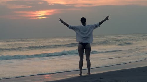 Happy Woman Raising Arms on Beach During Sunset Super 240