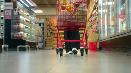 Woman Pushing a Cart in a Supermarket Store in Slow Motion Closeup Shot From a Low Angle Grocery