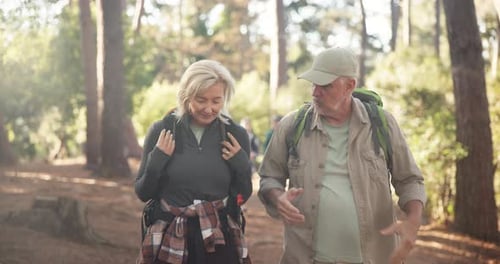 Hiking, mature couple and talking in woods, travel and journey for adventure in environment