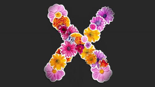 Fleurs en papier lettre X