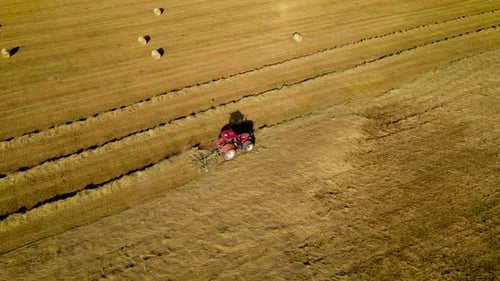 Trator com feno giratório fazendo fileiras de palha seca em rolos de feno de campo de trigo colhido como