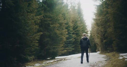 Portrait of Hiker In Mountains Walking in Forest
