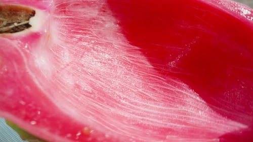Close Up of a Sliced Red Dragon Fruit