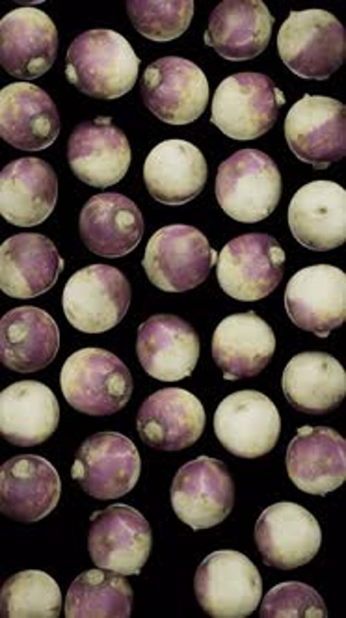 Natural Turnips Falling Down Animation Loop