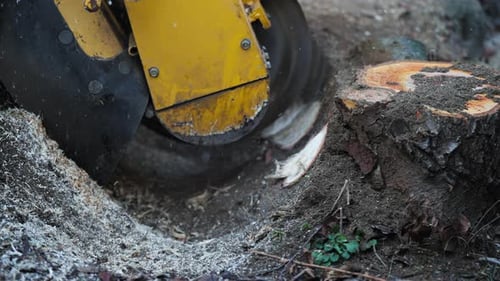 stump grinder cutting a tree in slow motion