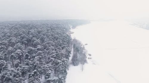 Aerial View of Winter Forest and Snowy Landscape