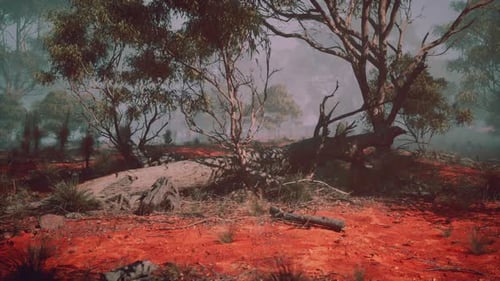 Arid Forest Landscape with Red Earth and Fog
