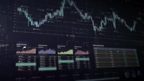 Business Info 05