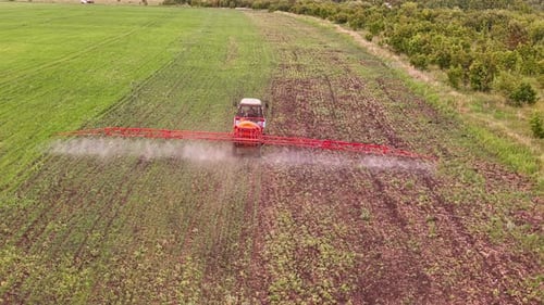 Tractor Spraying Soil and Young Crop in Springtime in Field Aerial View