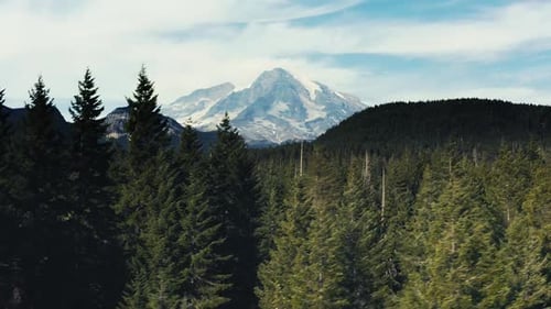 Incredibly gorgeous tilt up drone aerial shot of Mt Rainier in Washington State.