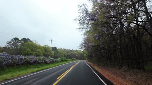 POV of Driving Footage Along a Freshly Paved Rural Road Surrounded By Spring Trees and Dense