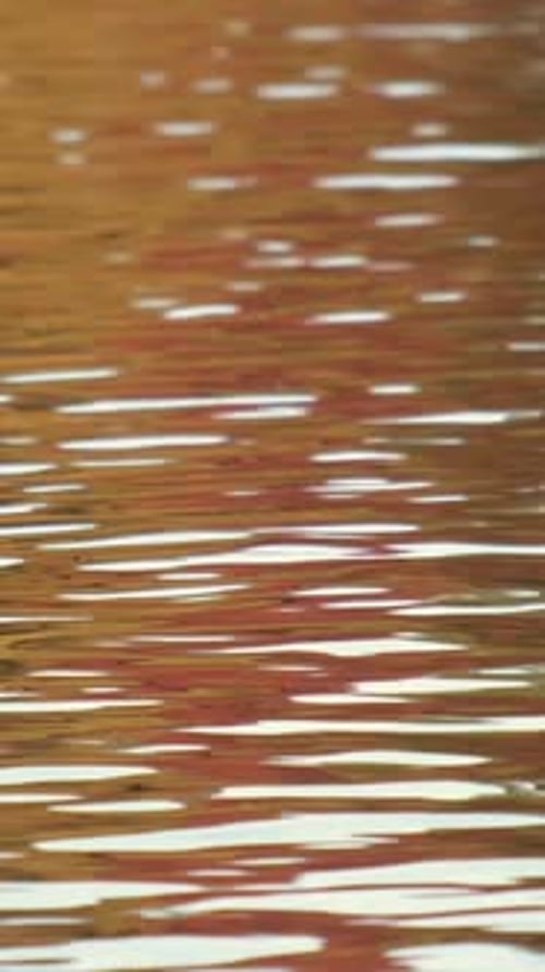 Close up of the calm water of the sea. Beautiful light reflection on the water.