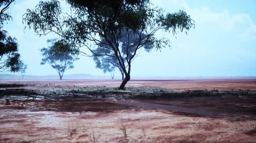 A Quiet Afternoon in the African Savanna Under a Clear Blue Sky