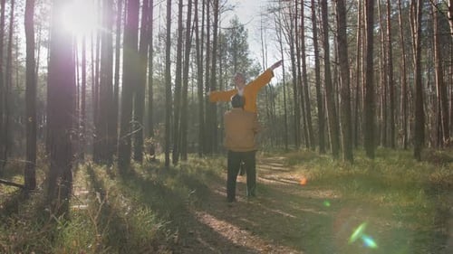 An Elderly Couple Celebrates Their Love on a Sunlit Forest Path on an Autumn Day