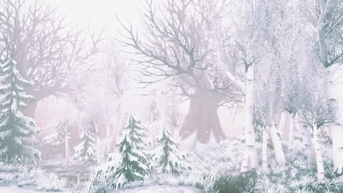 Winter Storm in a Forest in Winter
