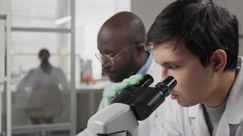 Close-up of Young Scientist Conducting Research with his Colleague in Laboratory