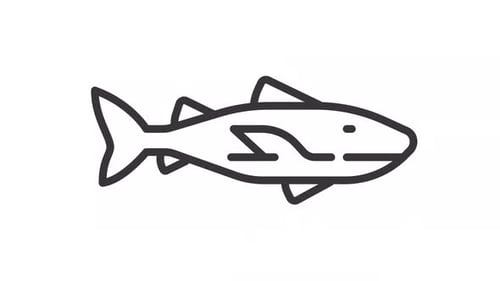 Animated Fish Icon Outline Loop