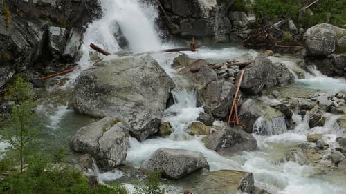 Scenic view of waterfall in forest