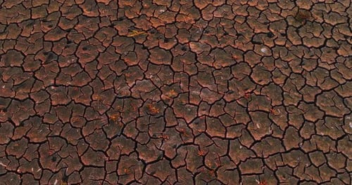 View of Cracked Soil Dried Due to Water Crisis